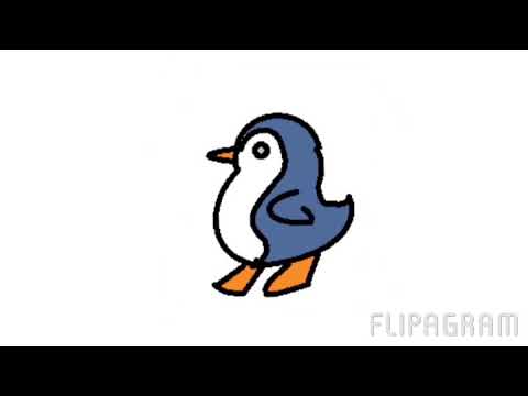 upload image Walking little penguin