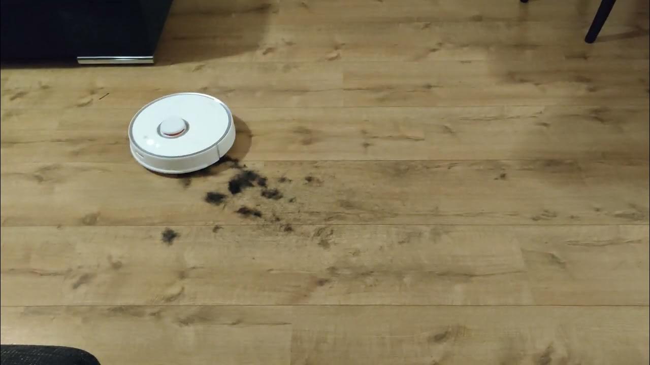 Roborock S5 cleaning up hair YouTube