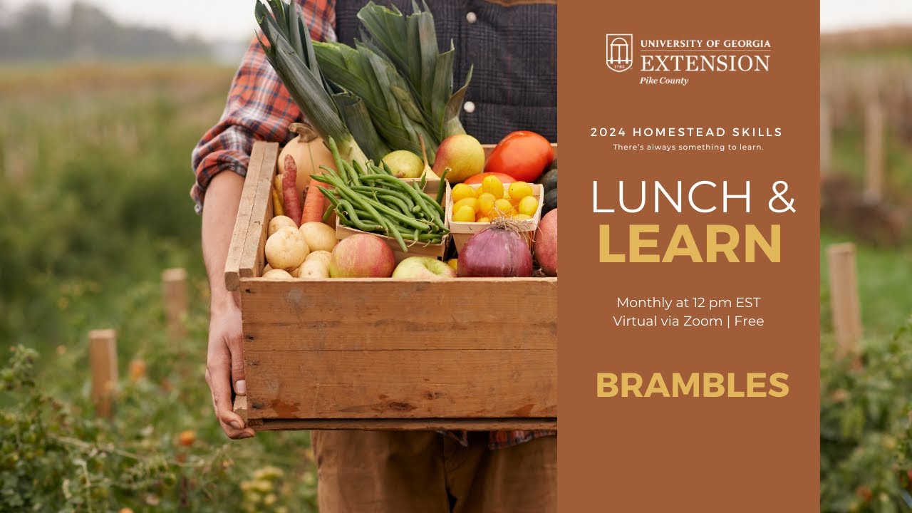 Lunch and Learn: Brambles