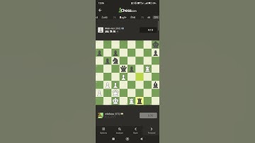 Amazing Chess Games 24