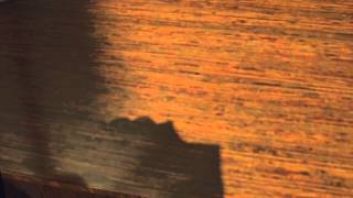 Fennec In Tent Act 01