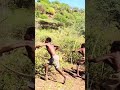 Traditional Bow and Arrow Hunting | Indigenous Tribe on Chase#short#hadzabetribe
