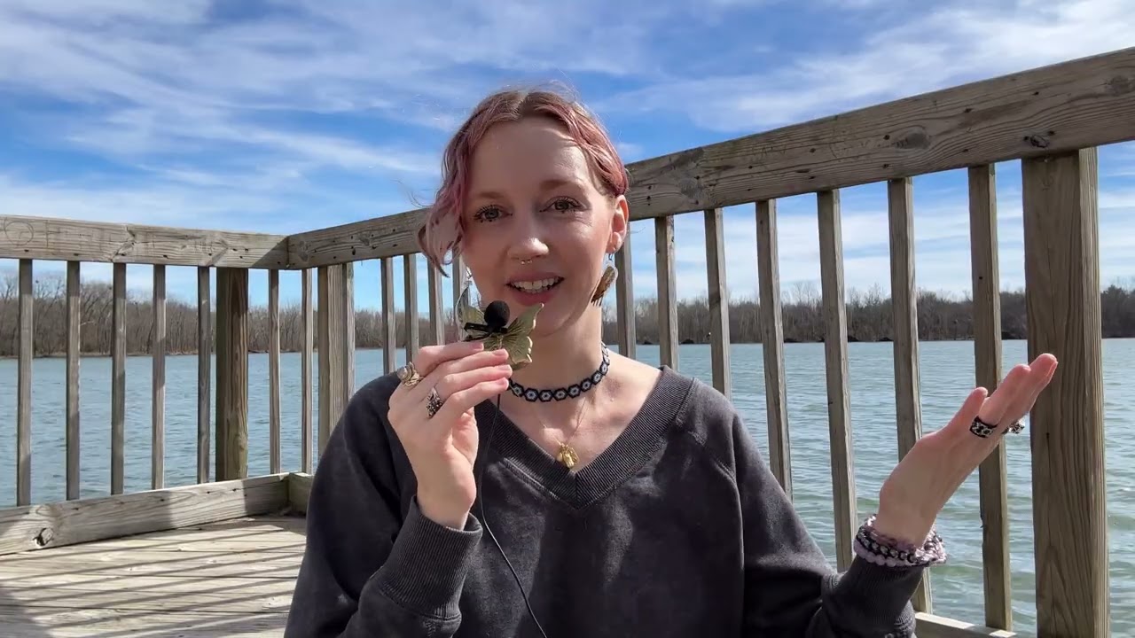 watch this on or before the 17th! 008