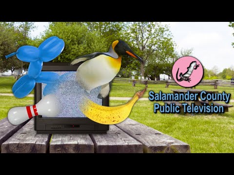 YouTube video thumbnail