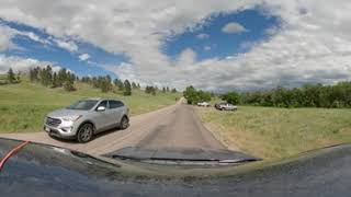 Wildlife Loop 360 - Custer State Park, SD by Bill Boehm 33 views 1 year ago 1 hour, 13 minutes