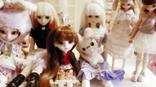 TAG - End of the Year BJD Tag 2014
