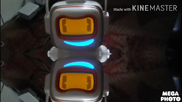 Alphie the robot startup in Low voice & 2-Way Mirrored?