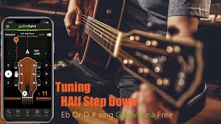 Guitar Tuning ( Half Step Down - Eb Or D#) using GuitarTuna free screenshot 3