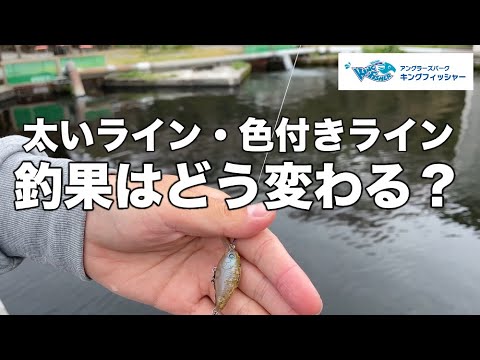ラインを検証！】太いライン・色付きラインは釣果に影響するのか？in