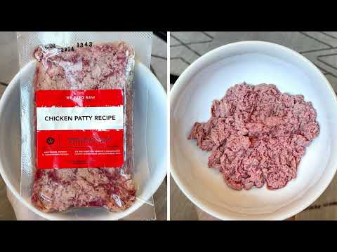 Wet Vs Dry Pet Food Which Is Better For Cats Dogs 