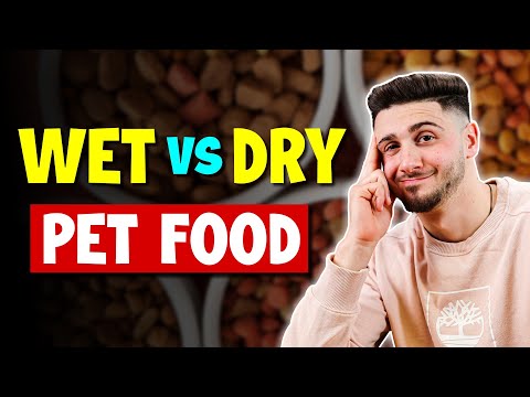 Video: Våt eller torrt mat: Vilken typ av kattmat är bäst för min katt?