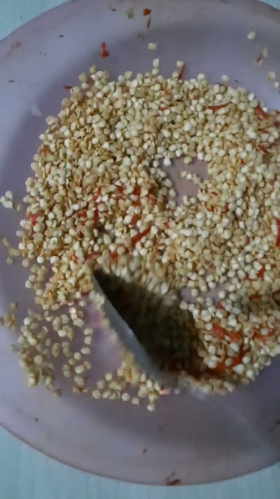 cabe besar lokal tanjung#generasi tani833#benihunggul #shorts