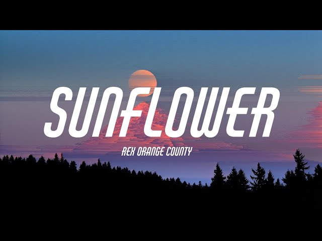 Rex Orange County - Sunflower (Lyrics)