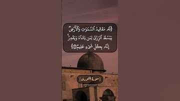 سورة الشورى الآية ١١ و ١٢ بصوت الشيخ محمد صديق المنشاوي
