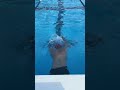 バタフライの違い探し  #水泳 #水泳コーチ #swim #バタフライ