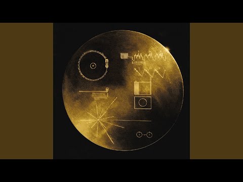 ტექნომაგია (Kung Fu Junkie \"Sci Fi\" Remix)