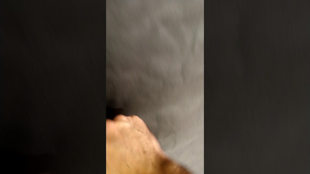 New Light Mars Hydro TSW3000! Flipping Lemon Tree to flower !! 