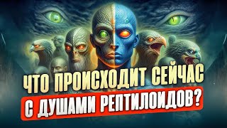 ШОК! ЧТО ПРОИСХОДИТ С ДУШАМИ РЕПТИЛОИДОВ СЕЙЧАС?