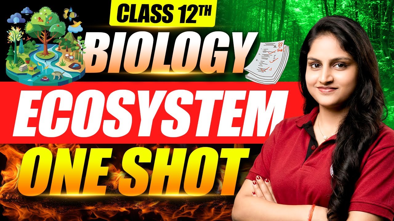 Ecosystem Class 12 Biology | One Shot Full Chapter Revision | Board ...