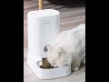 【寵小到大PawGether】科學餵養系列 重力自動寵物餵食器FG100 product youtube thumbnail