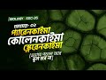 এক ভিডিওতেই সরল টিস্যু শেষ🔥|প্যারেনকাইমা,কোলেনকাইমা ও স্ক্লেরেনকাইমা |SSC Biology Chapter 2 |reThink