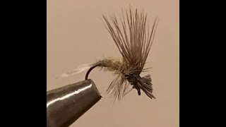 Fly.man-55の休日。毛鉤６８　ピーコックボディ　エルクヘアカディス　商品化