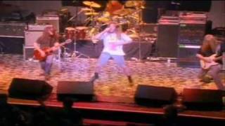 Download lagu Blind Melon Letters from a porcupine DVD