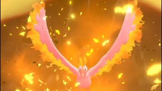 Encountering SHINY MOLTRES