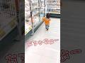 《1歳3ヶ月》買い物　いつも買うものは覚えてるよ#日常#成長#子供#1歳児 #shortvideo#癒し#癒し#あかちゃんのいる生活#ショート#育児#short#shorts#赤ちゃん#親子#成長記録