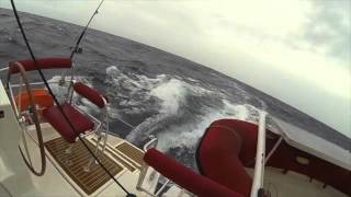Toulon-Majorque en Catana 42