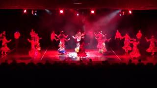 Hdn Dans Ve Ritimtopluluğu - Roman