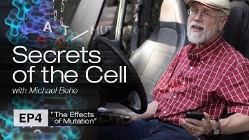 The Effects of Mutation (Secrets of the Cell with Michael Behe, Ep. 4)