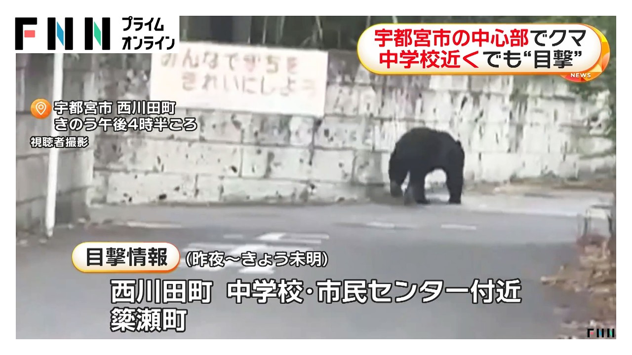 あと1～2秒早く行ってたら死んでいたかも」宇都宮市の中心部でクマ