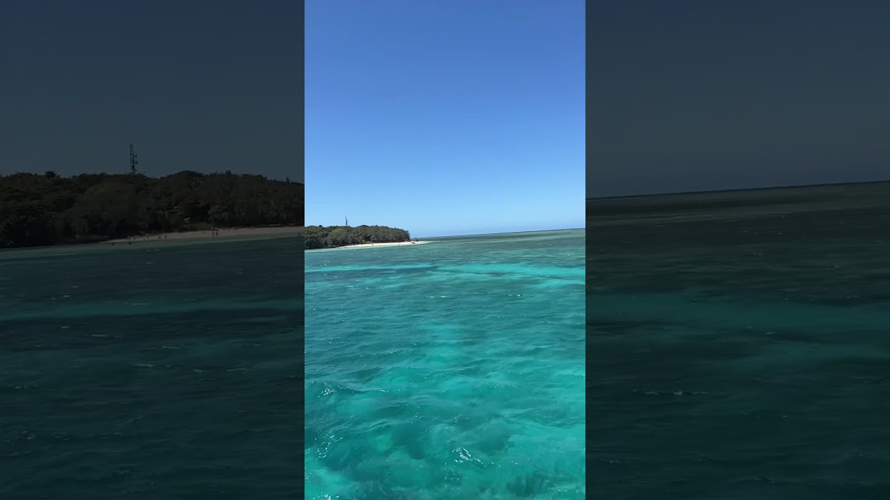 Beautiful Great Barrier Reef 🐠🐠🐠🪸#thegreatbarrierreef