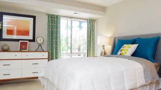 Citra Apartments - Sunnyvale, CA