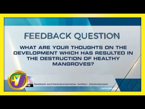 Feedback Question | TVJ News - May 4 2021