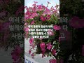 온전한 사람