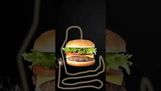 20 Second Time Hamburger 🍔 Explodes