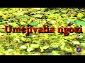 Emali Town Choir Umejivalia Ngozi Ya Kondoo Lyrics The Hymnal Touch Version Enjoy The Harmony