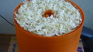 видео: Сушим капусту в сушилке для овощей и фруктов картинка: Сушим капусту в сушилке для овощей и фруктов