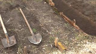 видео: Грядки Розума. Живой огород. картинка: Грядки Розума. Живой огород.