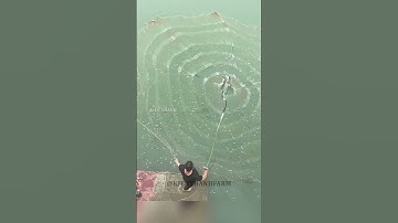 Anh chàng có kỹ năng quăng chài điêu luyện #shorts