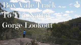 Southern Highlands - Box Vale Track to Nattai Gorge Lookout