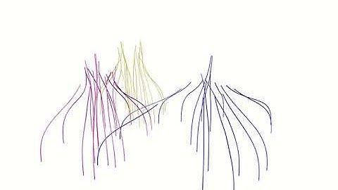 C4D Swarm Theory - X particles - Structural Experiment