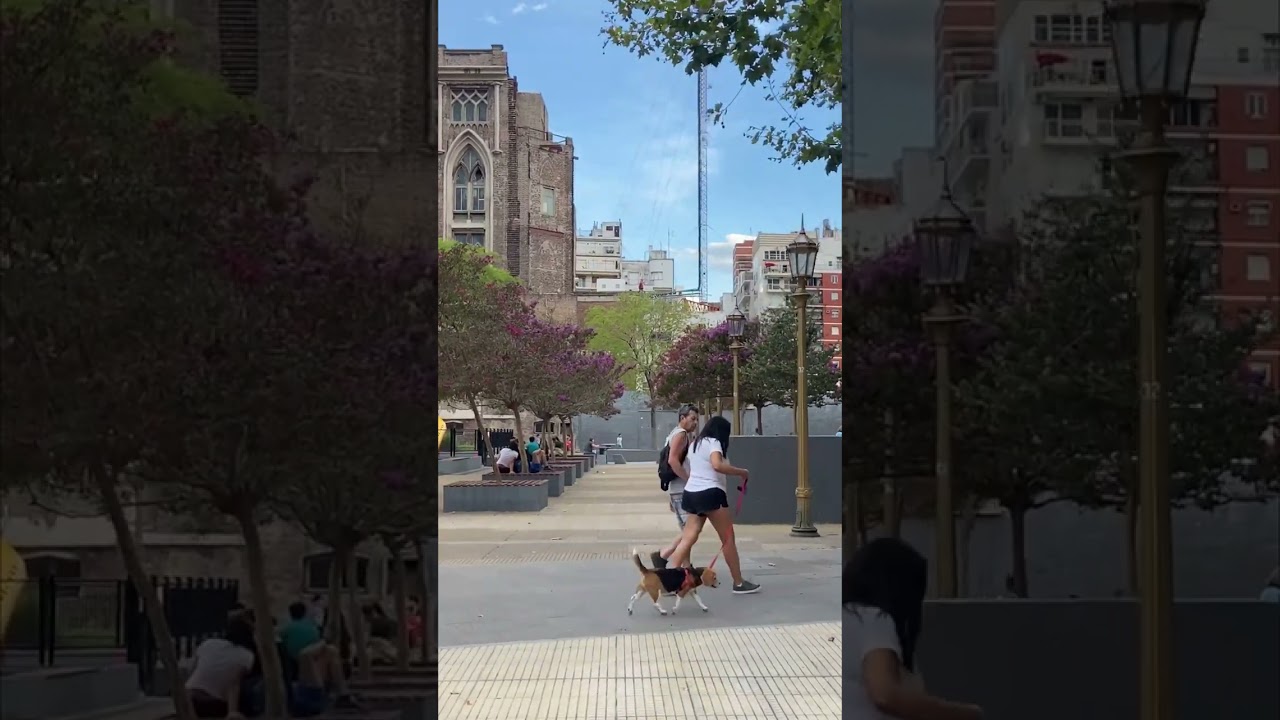 Avenida Pueyrredón - Buenos Aires - Argentina - walking tour 2023