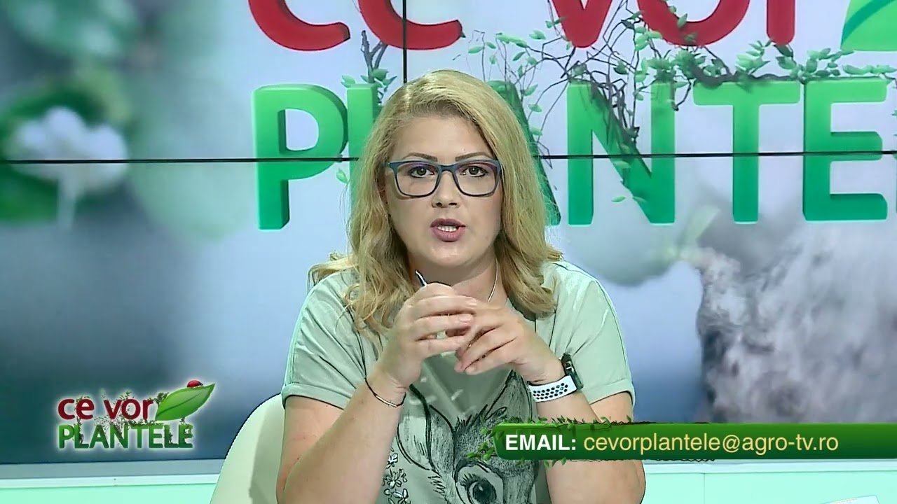 VIDEO Dr. Ing. Horia Ghibu - Tratament împotriva dăunătorilor pentru legume în spații protejate 1 VIDEO Dr. Ing. Horia Ghibu - Tratament împotriva dăunătorilor pentru legume în spații protejate YouTube player