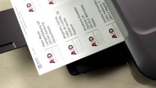 Avery Labels for Letters & Envelopes 720P EN