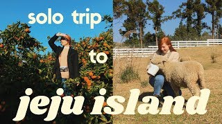 My Solo Trip to Jeju Island (Picking Tangerines 🍊) | Life in Korea Vlog