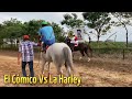Video de Nuevo Morelos