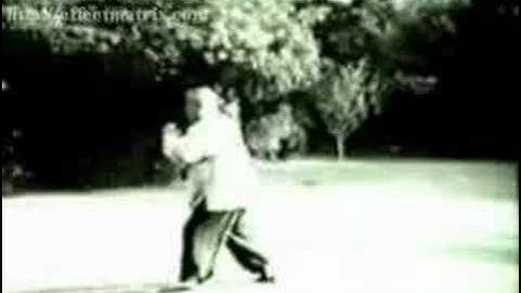 Fu Zhong Wen performing Yang Taiji 1b